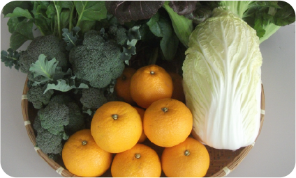 野菜・柑橘類
