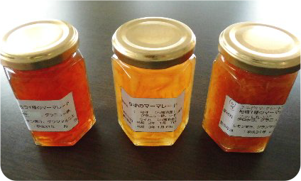 マーマレード（開発中）