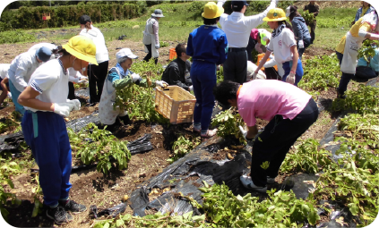 麻生小学校との交流